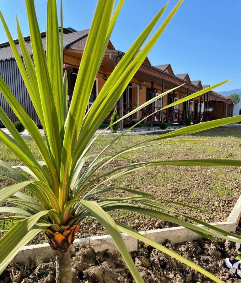 Hotel Askar Alakhadzi Exterior foto